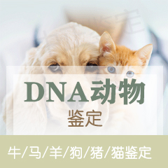 台州动物鉴定